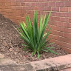 Meet your Posher, Kenny